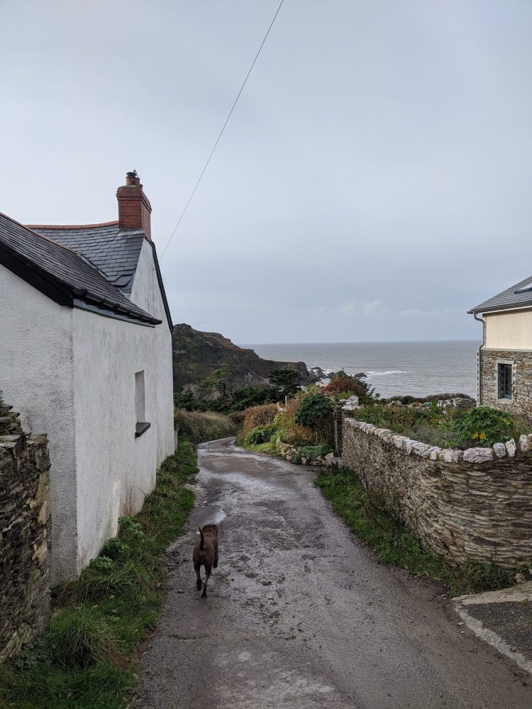 North Devon coastal village