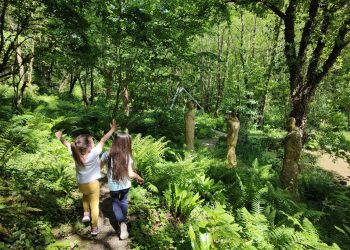 Family walk through woods in North Devon