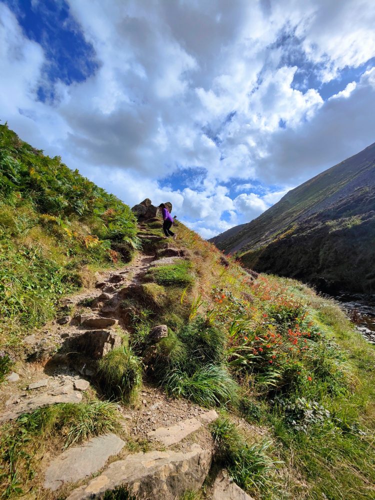 Coastal walks in Devon