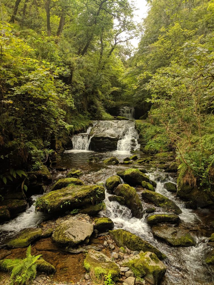 Stream that can be visited for a romantic walk