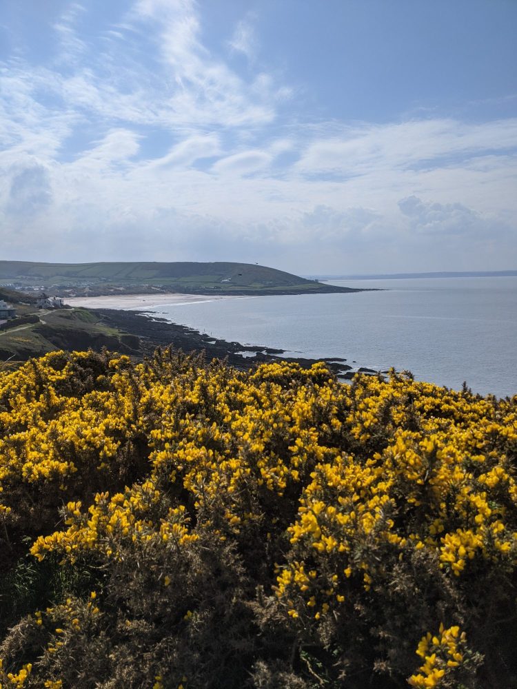 View of Devon beach