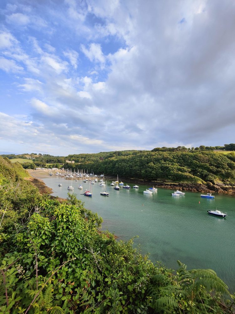 View over Watermouth harbour