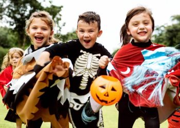 Your Holiday Itinerary for October Half Term in North Devon!