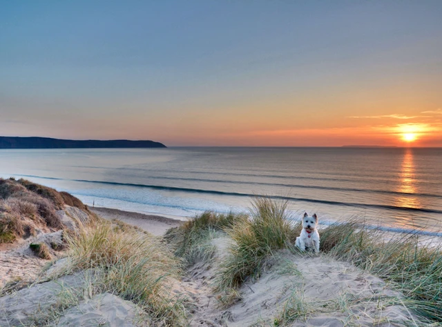 On the beach in North Devon during October half term