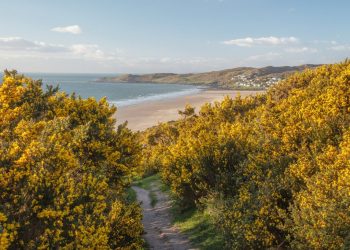 A Local’s Guide to Woolacombe Before the Summer Rush