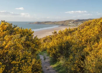 A Local’s Guide to Woolacombe Before the Summer Rush