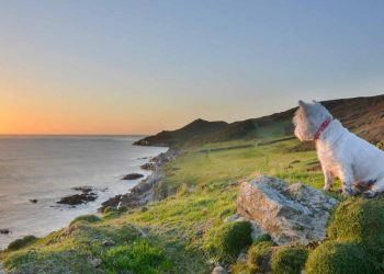 October Half Term in North Devon: A Seven-Day Family Itinerary