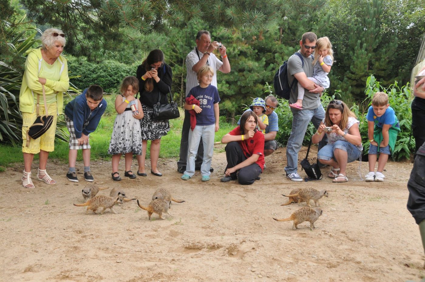 Combe Martin Wildlife & Dinosaur Park