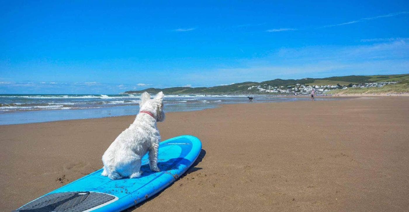 Woolacombe, Croyde, Saunton and Putsborough: Seasonal Beach Dog Access Guide