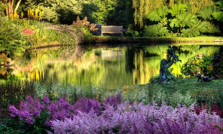 Marwood Hill Gardens