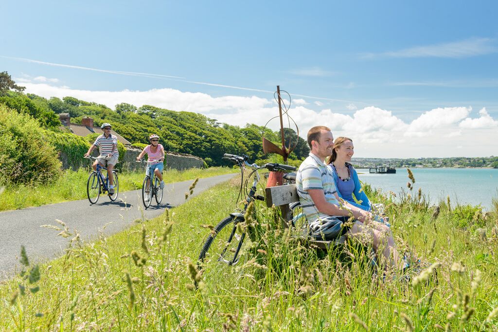 The Tarka Trail, Braunton to Barnstaple: A Flat, Easy Dog Walk Along the River Taw