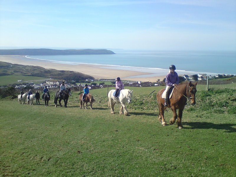 Woolacombe Riding Stables