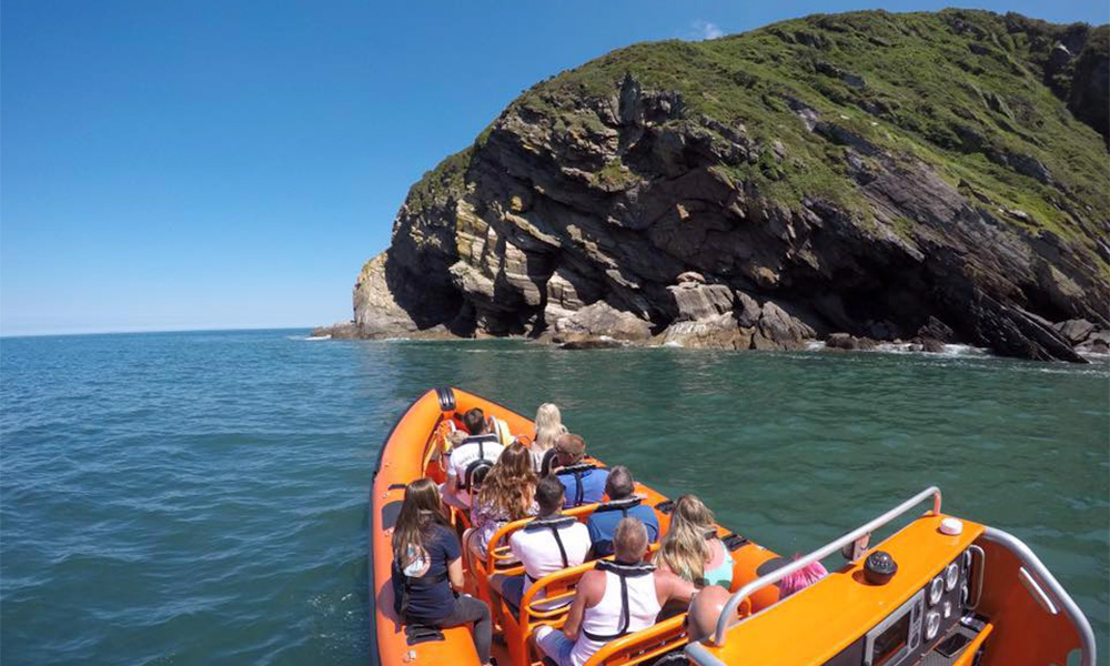 Devon Sea Safari