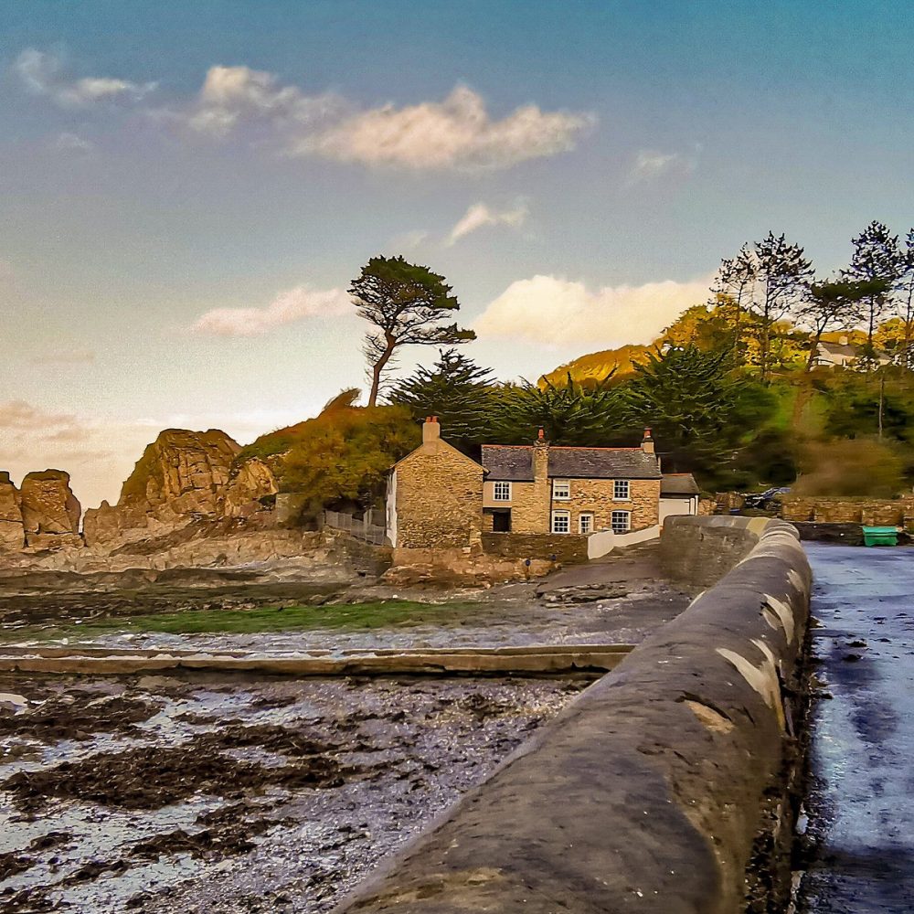 Lee Bay Dog Walk
