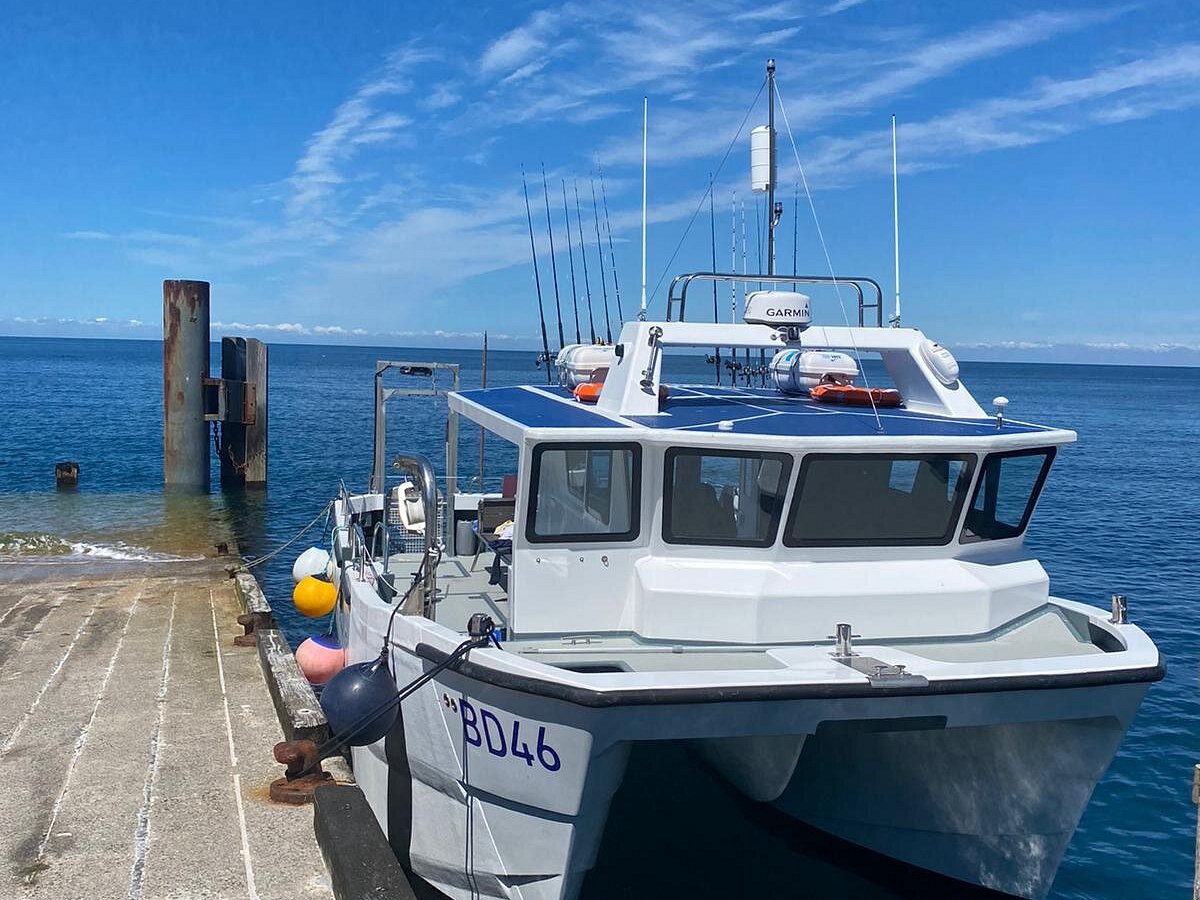 Wild Frontier Charters